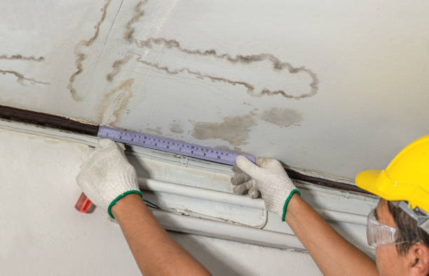 Affordable Water Damage Repair solutions in Cloverdale, VA